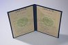 Стоимость  диплома о высшем образовании ТуркменАССР 1975-1991 г. в Невеле (Псковская Область)