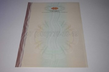 Академическая Справка ВУЗа 2014г в Пскове